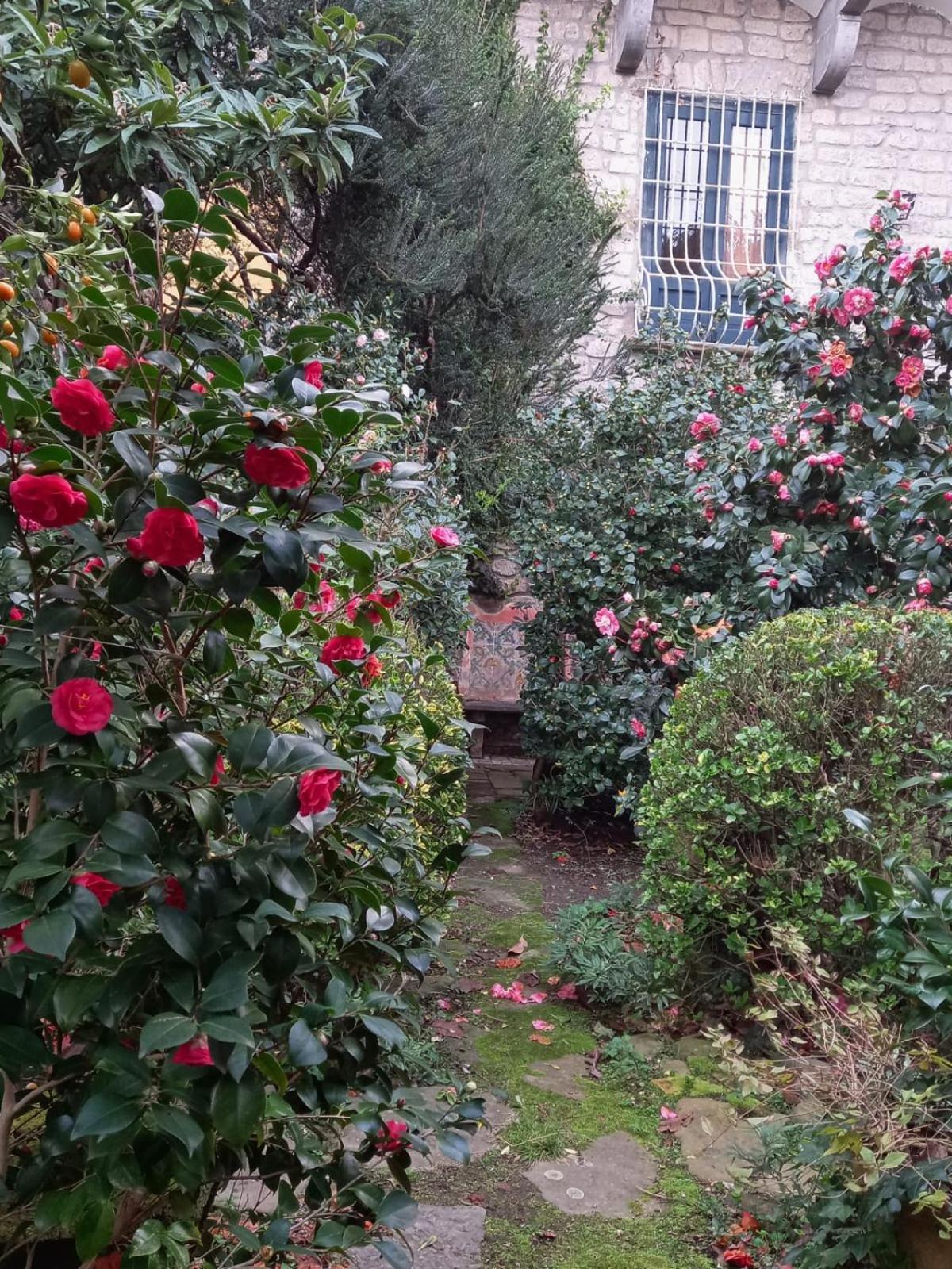 L'Antica Dimora Villa เมตา ภายนอก รูปภาพ