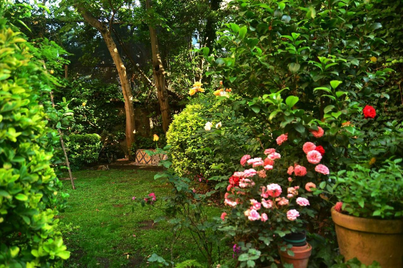 L'Antica Dimora Villa เมตา ภายนอก รูปภาพ