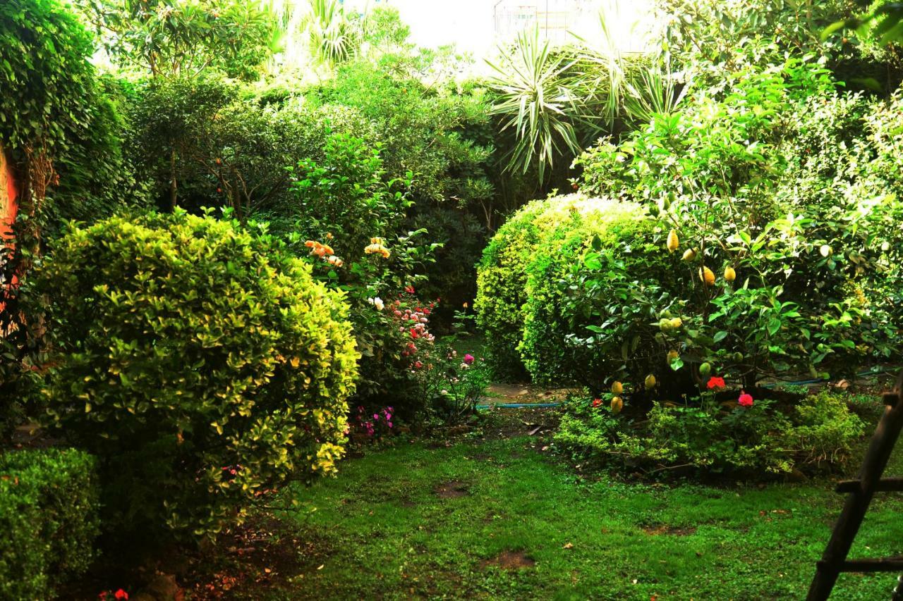 L'Antica Dimora Villa เมตา ภายนอก รูปภาพ